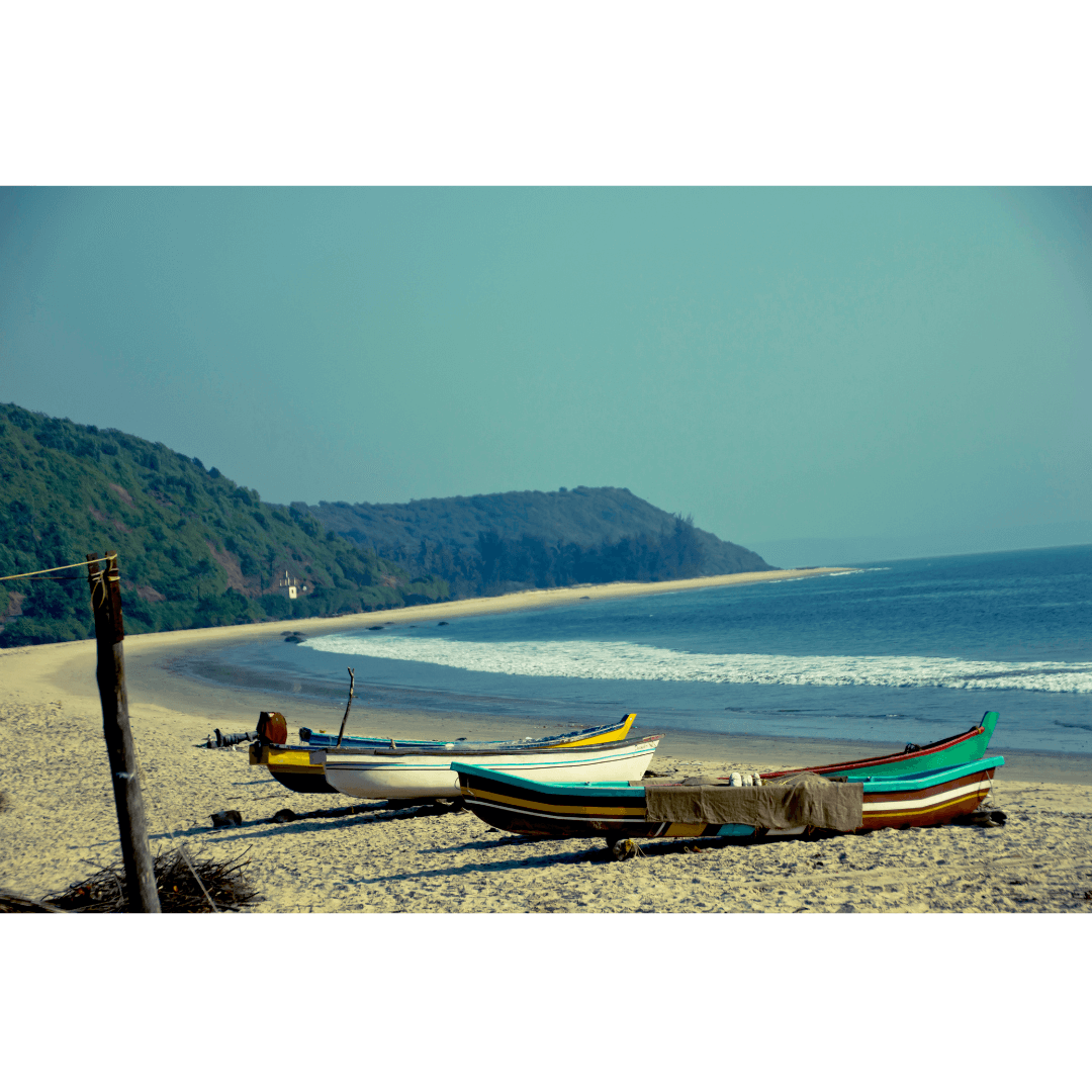 ABOUT GOA 2