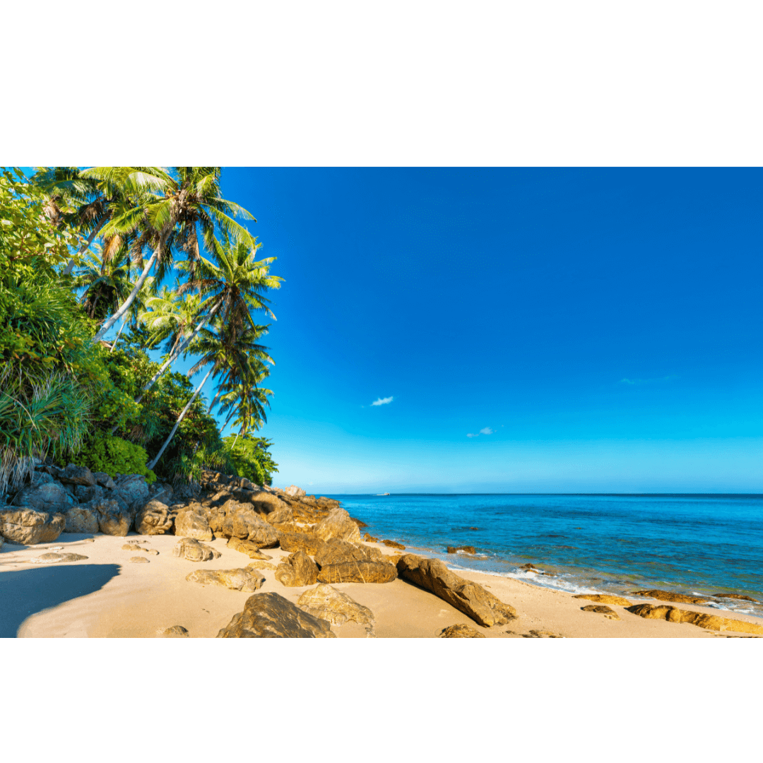 ABOUT GOA 3